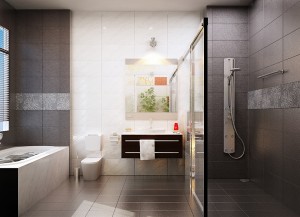Nhà tắm nhà vệ sinh sau khi ghép hai căn hộ liền kề