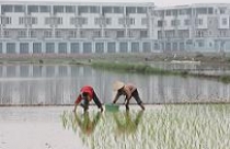 Xung quanh bảng giá đất Hà Nội năm 2012: Xa thị trường nên chỉ để ... tham khảo 