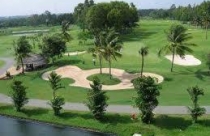 Ngộ nghĩnh đấu trường thể thao hình chiếc lá