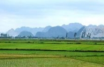 TP.HCM: Duyệt quy hoạch 1/2000 Khu đô thị đại học Quốc tế Việt Nam