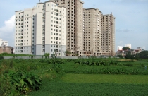 Hạn chế thu hồi, mở rộng trưng mua