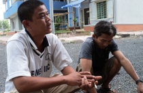 7 mẫu tranh hoa mai ngày Tết đẹp, ý nghĩa