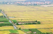 6 bí quyết phối màu thiết kế hiện đại nhất từ các nhà thiết kế chuyên nghiệp
