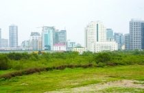 Tỉnh nào “vô địch” về sai phạm đất đai?