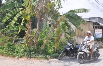 Nhà trong hẻm phải đóng thuế đất cao