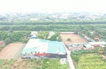 Hoài Đức (Hà Nội): Tràn lan nhà xưởng mọc trái phép trên đất nông nghiệp tại xã Song Phương