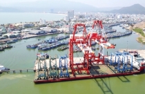 Khó khép lại thương vụ “M&A ngược” Cảng Quy Nhơn