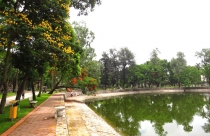 Nhòm ngó đất công cộng