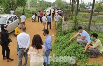 Đến năm 2025, Hải Phòng sẽ có khoảng 22.000 ha đất xây dựng đô thị