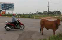 Hà Nội sau 10 năm mở rộng: Còn đó những nỗi lo