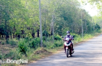 Nhanh chóng 'nới rộng' đất công nghiệp