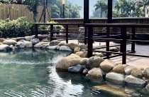 Chứng khoán giảm "sốc", nhà đầu tư bán tháo