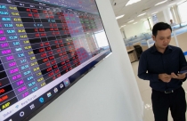 Nhà đầu tư chứng khoán F0 đã hết hào hứng?